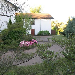 Deluxe King Studio
